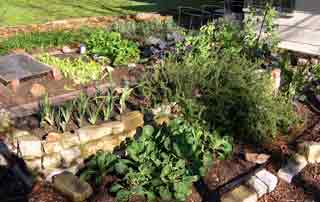 Vegetable garden after ice storm