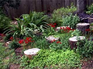 photo: stump garden