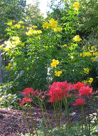 garden 20030930