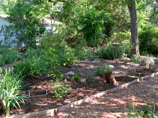 garden week 26