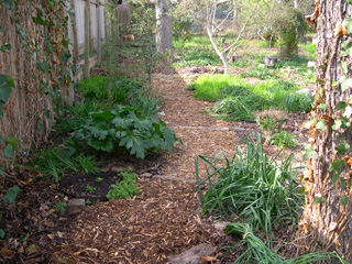 photo: Zanthan Gardens