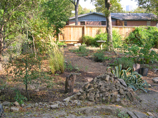 Zanthan Gardens: Week 44