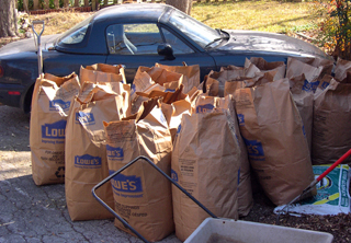 Miata and 17 bags of Christmas tree mulch
