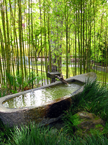 Japanese Garden Space