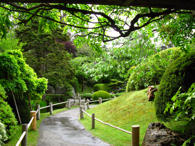 Japanese Garden Strolling