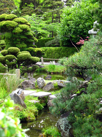 Japanese Garden Layered Views