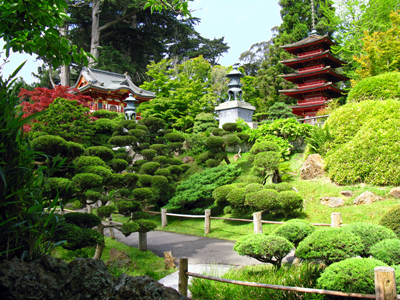 Japanese Garden Texture