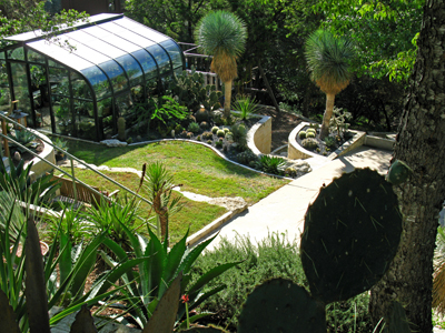 cactus and succulent garden