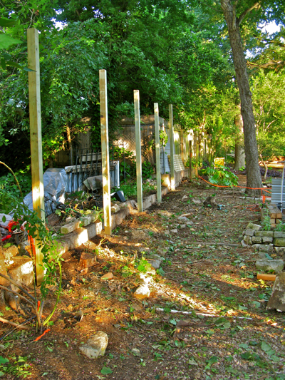 Zanthan Gardens privacy fence