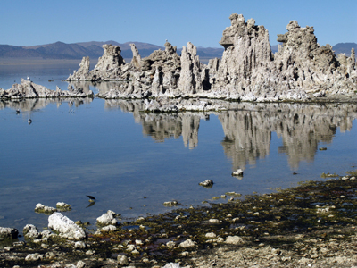 Mono Lake