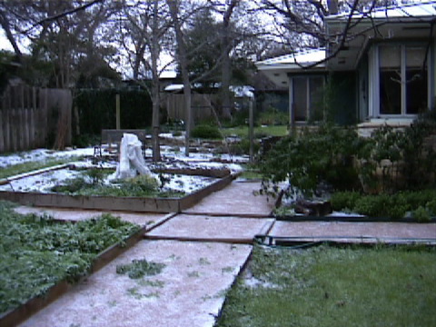 The Winter Garden