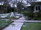 The Winter Garden