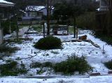 The Vegetable Garden