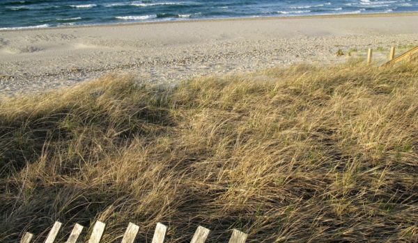 Cape Cod Beach